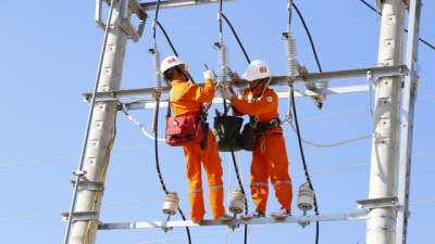 Nghị định số 62/2025/NĐ-CP của Chính phủ: Quy định chi tiết thi hành Luật Điện lực về bảo vệ công trình điện lực và an toàn trong lĩnh vực điện lực
